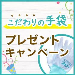 こだわりの手袋プレゼントキャンペーン 先着150名