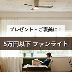 プレゼント・ご褒美に！5万円以下 ファンライト