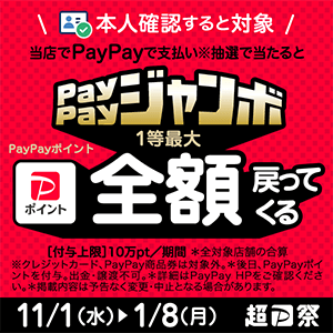 ペイペイジャンボ1等最大全額戻ってくるキャンペーン 2023年11月1日から2024年1月8日まで