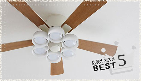 おしゃれなデザイン部門 店長おすすめ ベスト5商品