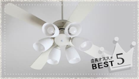 シンプルモダン部門 店長おすすめ ベスト5商品