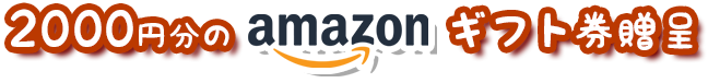 2000円分のAmazonギフト券贈呈