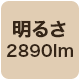 2890lm