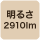 2910lm