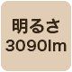 3090lm