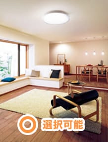 自然な白い光（昼白色）