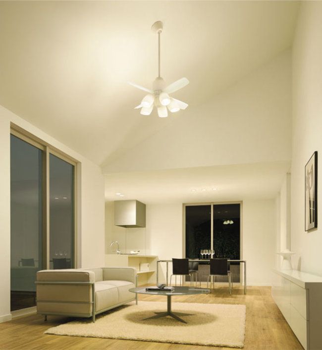 DP-37455 + DP-37972 + DP-37610 + DP-37457 DAIKO(ダイコー)製シーリングファンライト【生産終了品】