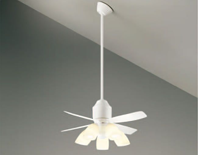 DP-37455 + DP-37611L + DP-37610 + DP-37457 DAIKO(ダイコー)製シーリングファンライト【生産終了品】