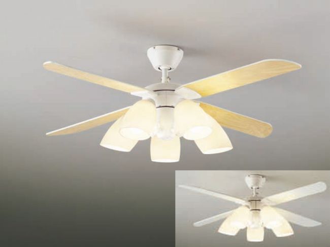 DP-37437 + DP-37439L DAIKO(ダイコー)製シーリングファンライト【生産終了品】