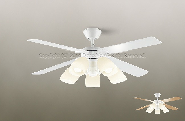 DP-38028 + DP-37973 DAIKO(ダイコー)製シーリングファンライト【生産終了品】