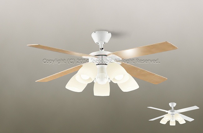 DP-38028 + DP-37973 DAIKO(ダイコー)製シーリングファンライト【生産終了品】