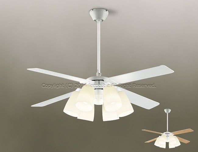 DP-38028 + DP-37975 + DP-37586 DAIKO(ダイコー)製シーリングファンライト【生産終了品】