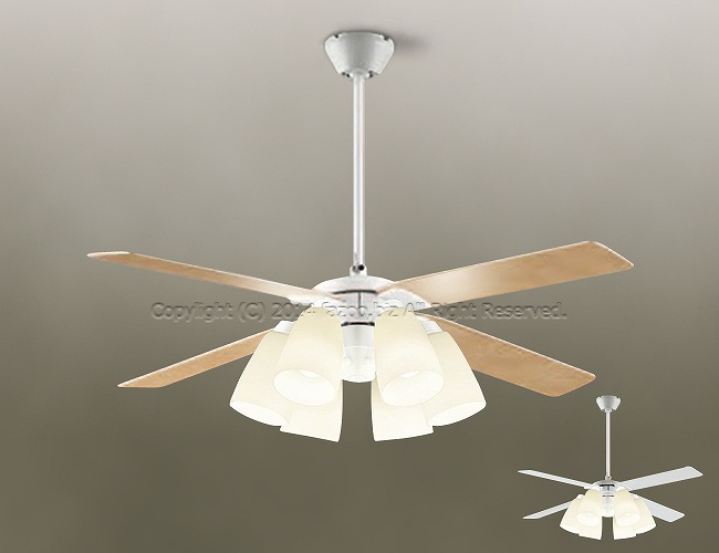 DP-38028 + DP-37975 + DP-37586 DAIKO(ダイコー)製シーリングファンライト【生産終了品】