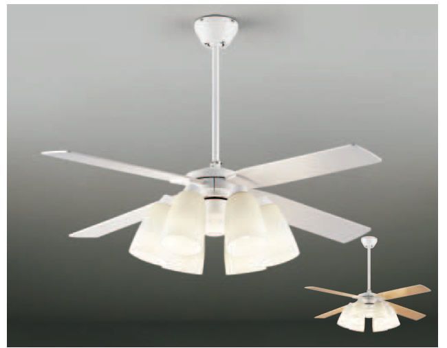 DP-38028 + DP-37441L + DP-37586 DAIKO(ダイコー)製シーリングファンライト【生産終了品】