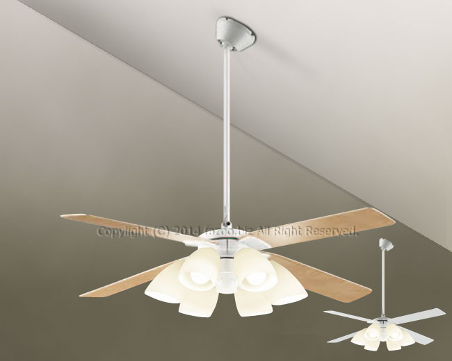 DP-38028 + DP-37974 + DP-37587 DAIKO(ダイコー)製シーリングファンライト【生産終了品】