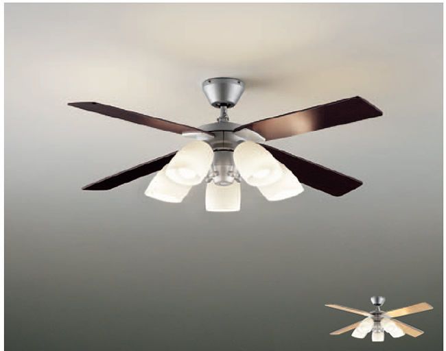 DP-38029 + DP-37443L DAIKO(ダイコー)製シーリングファンライト【生産終了品】