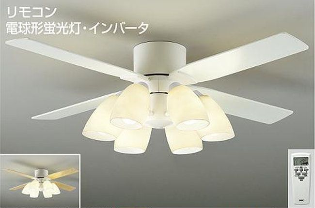 【 美品 】 シーリングファンライト DAIKO ファン/シーリングファン ブラック DAIKO(大光電機) シーリング