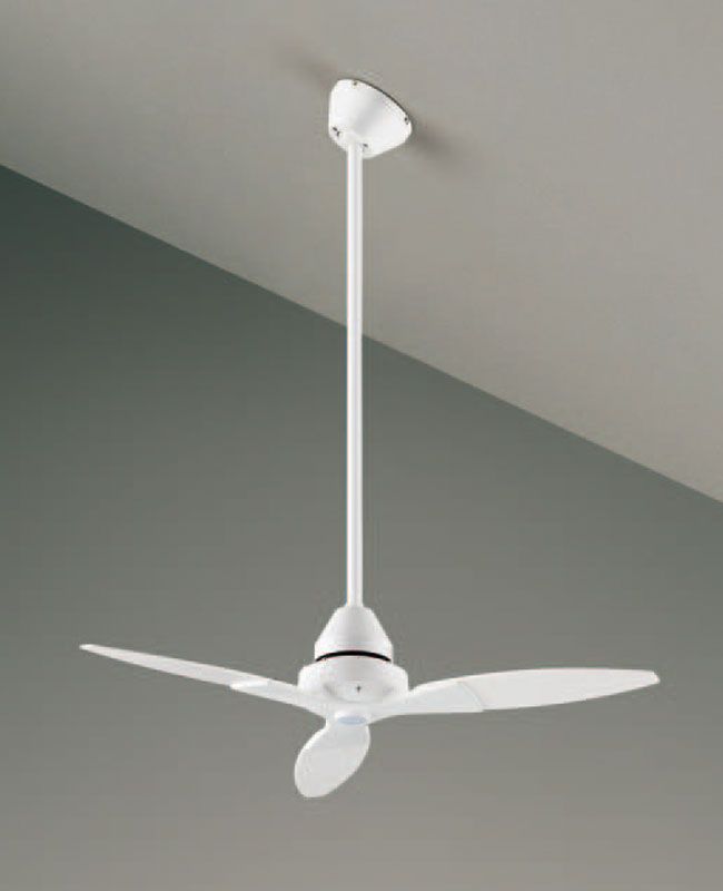 DP-38024 + DP-37652 DAIKO(ダイコー)製シーリングファン【生産終了品】