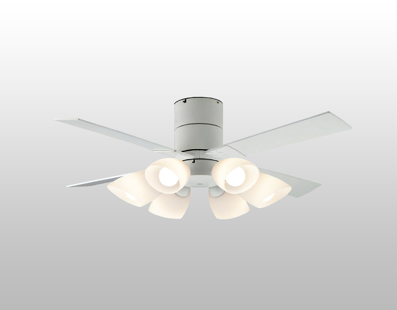 AM58016E + AA58019 大風量 LED 電球色 6灯 薄型 KOIZUMI(コイズミ)製シーリングファンライト