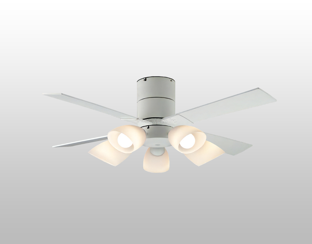 AM58016E + AA58020 大風量 LED 電球色 5灯 薄型 KOIZUMI(コイズミ)製シーリングファンライト
