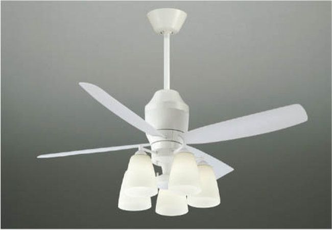 AEE595029 + AAE590180 + AEE590022 + AEE590184 KOIZUMI(コイズミ)製シーリングファンライト【生産終了品】