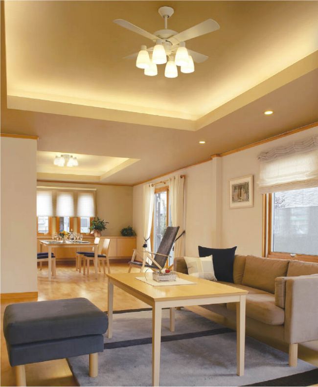 AEE695071 + AAN690111 + LED133WW / LED133CWF KOIZUMI(コイズミ)製シーリングファンライト【生産終了品】