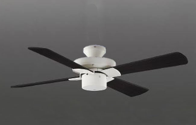 AEE695070 + AEE690110 KOIZUMI(コイズミ)製シーリングファン【生産終了品】