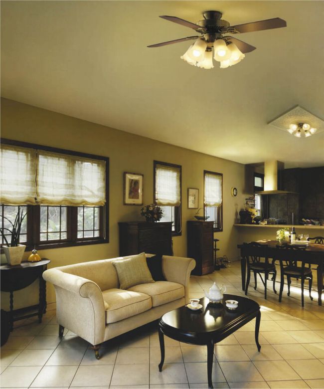 AEE695075 + AAN690115 + LED133WW / LED133CWF KOIZUMI(コイズミ)製シーリングファンライト【生産終了品】