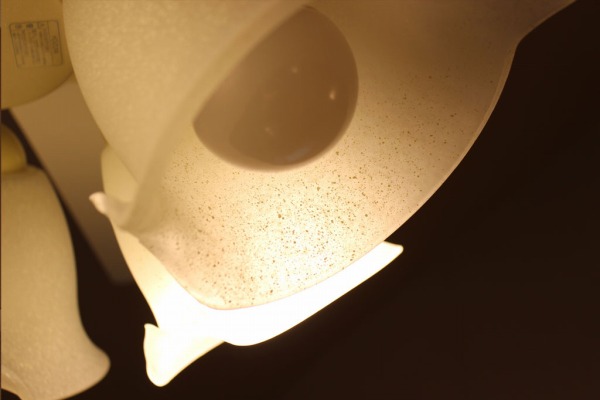 AM40386E + AA40382L + AEE590240 KOIZUMI(コイズミ)製シーリングファンライト【生産終了品】