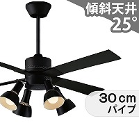 神奈川県横浜市 戸建 吹き抜け シーリングファンライト 取付工事