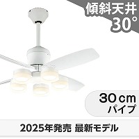 シーリングファン ライト　fisso ホワイト （買ったばかり） シーリングファン ライト fisso ホワイト （買ったばかり