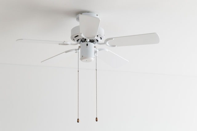 2WAY USE TRADITIONAL CEILING FAN LIGHT WH(002952) BRID