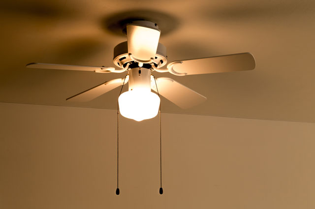 2WAY USE TRADITIONAL CEILING FAN LIGHT WH(002951)電球なし BRID