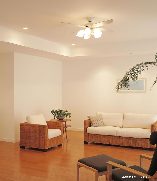 WF801 + WF804L / WF804N ODELIC(オーデリック)製シーリングファンライト【生産終了品】