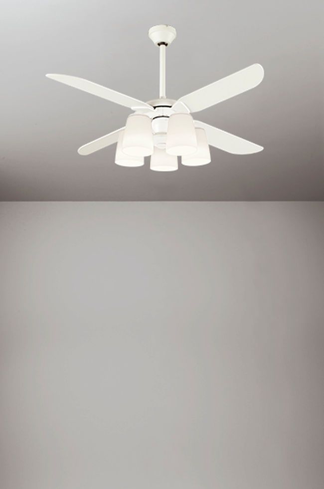 WF801 + WF756LD / WF756ND + WF973 ODELIC(オーデリック)製シーリングファンライト【生産終了品】