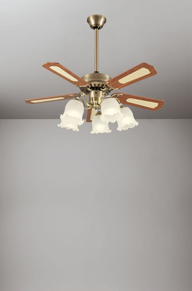 WF684 + WF781LD / WF781ND + WF583 ODELIC(オーデリック)製シーリングファンライト【生産終了品】