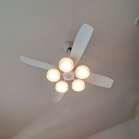 本日お値下げ✩✩✩シーリングファンライト　新品✩2025年6月到着 本日お値下げシーリングファンライト 新品✩2025年6月到着