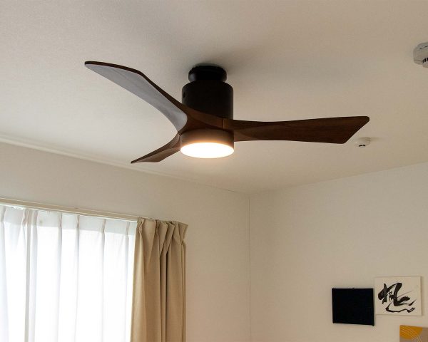 fazoofan IAE002