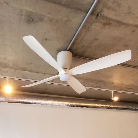 コピー_wf812_20250613_104448