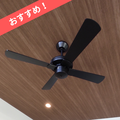 セール商品画像 (1)