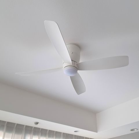 コピー_WF810_20250125_140908