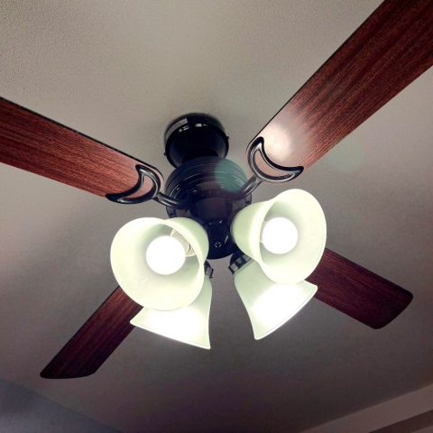 S__102465547_02