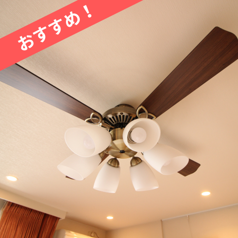 セール商品画像