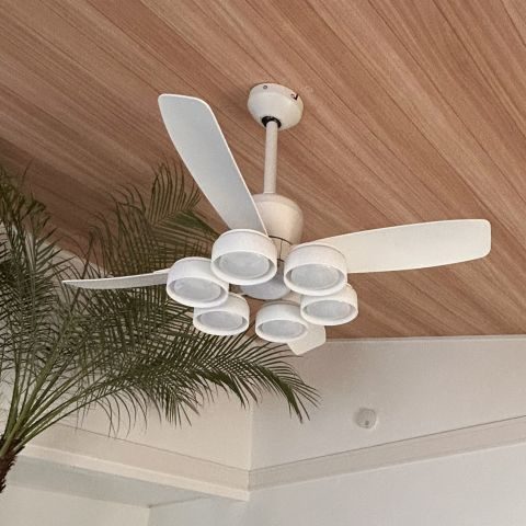 ブラックフライデー2025 – <公式>シーリングファン・ライト通販専門店