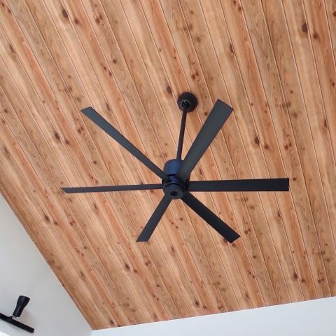 re_IMG_20240106_095334