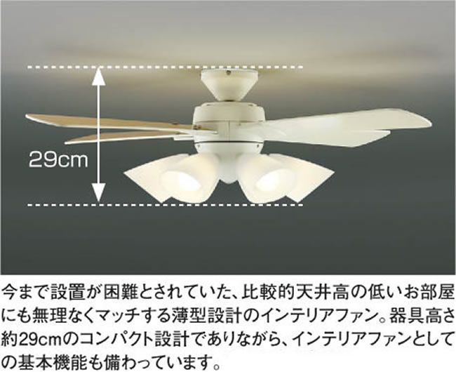 AAN695080 KOIZUMI(コイズミ)製シーリングファンライト【生産終了品】