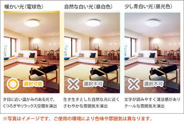 こちらの商品は照明の色合いは(電球色)となります。