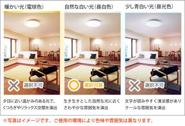 こちらの商品は照明の色合いは(昼白色)となります。