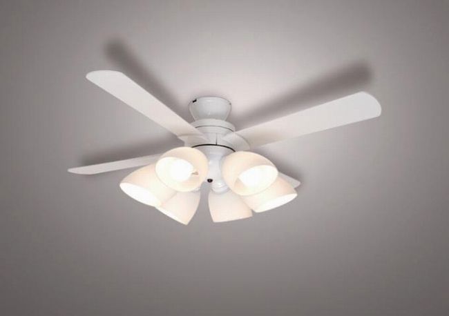 XZF-156213RL NEC_LIGHTING(NECライティング)製シーリングファンライト【生産終了品】